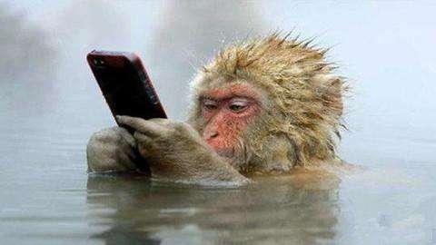 德国3月份友谊赛,德国三月份友谊赛