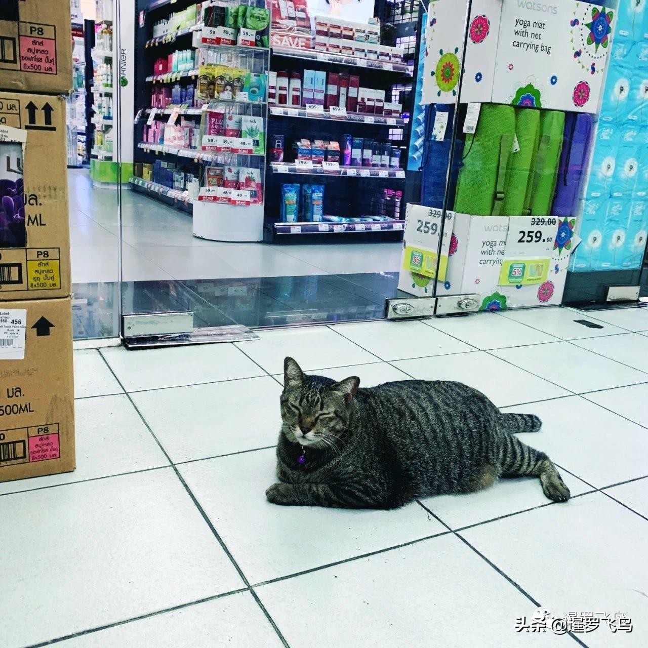 泰国疫情怎么那么严重了,泰国目前疫情怎么样