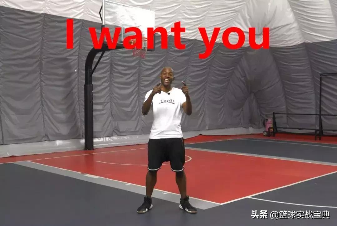 消灭小黑飞最高效最彻底的方法,消灭篮球小白