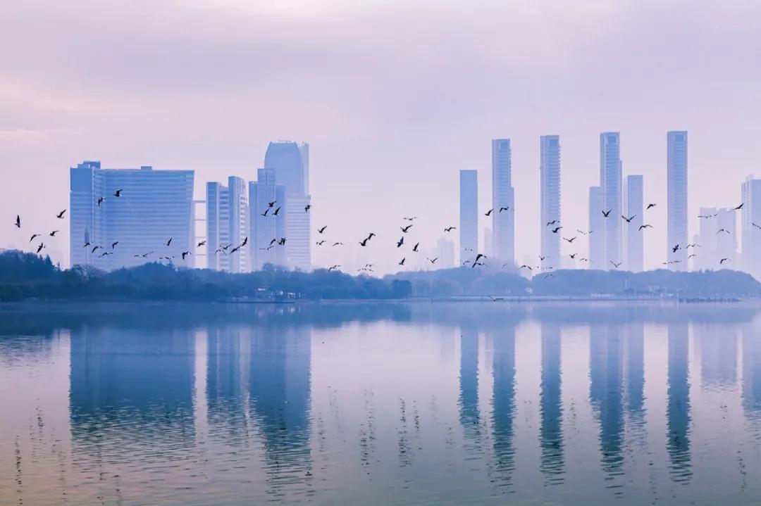 开奖啦！“魅力蠡开”摄影大赛获奖名单公布