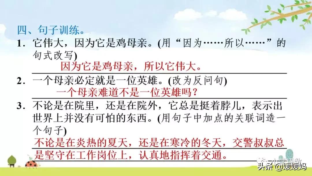 四年级下册第13课小练笔仿写母鸡,四年级下册14课母鸡的预习完整版