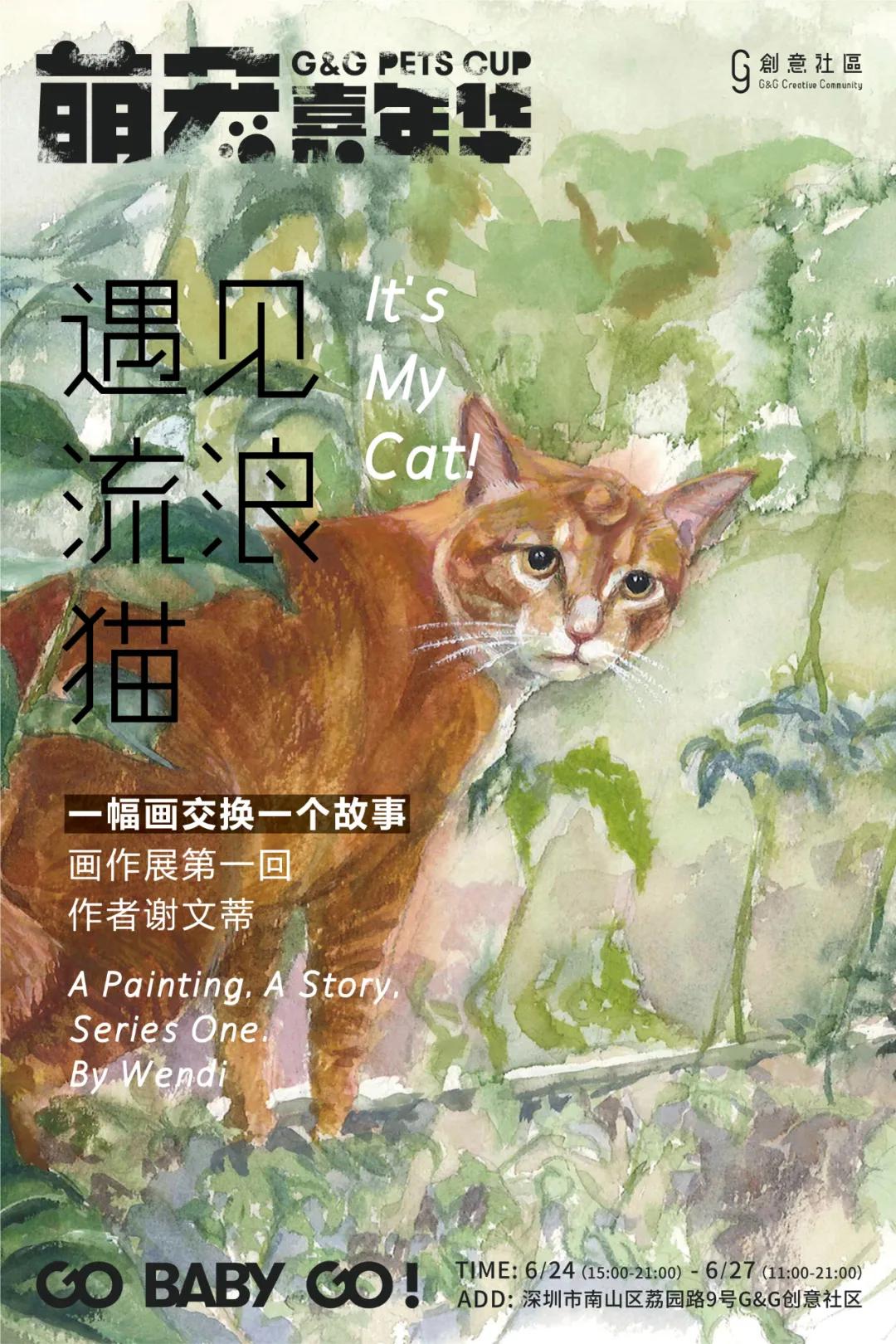 爱宠大作战纪录片,爱宠大作战一口气看完