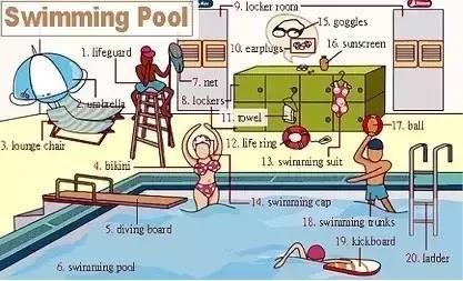 33张图让你记住英语中所有生活用词｜疏桐国际教育