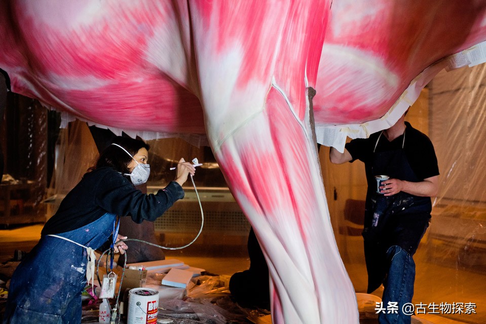 恐龙重达几吨奔跑速度多少,比较恐龙的大小可以从几方面比