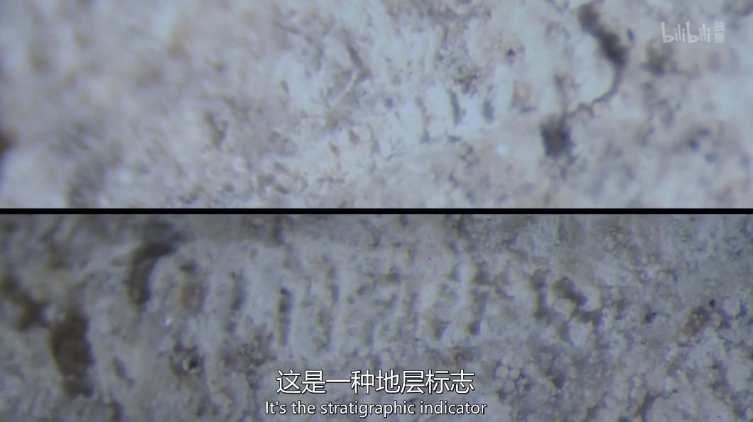 巴黎圣母院火灾重建后建筑怎样,巴黎圣母院火灾一周年