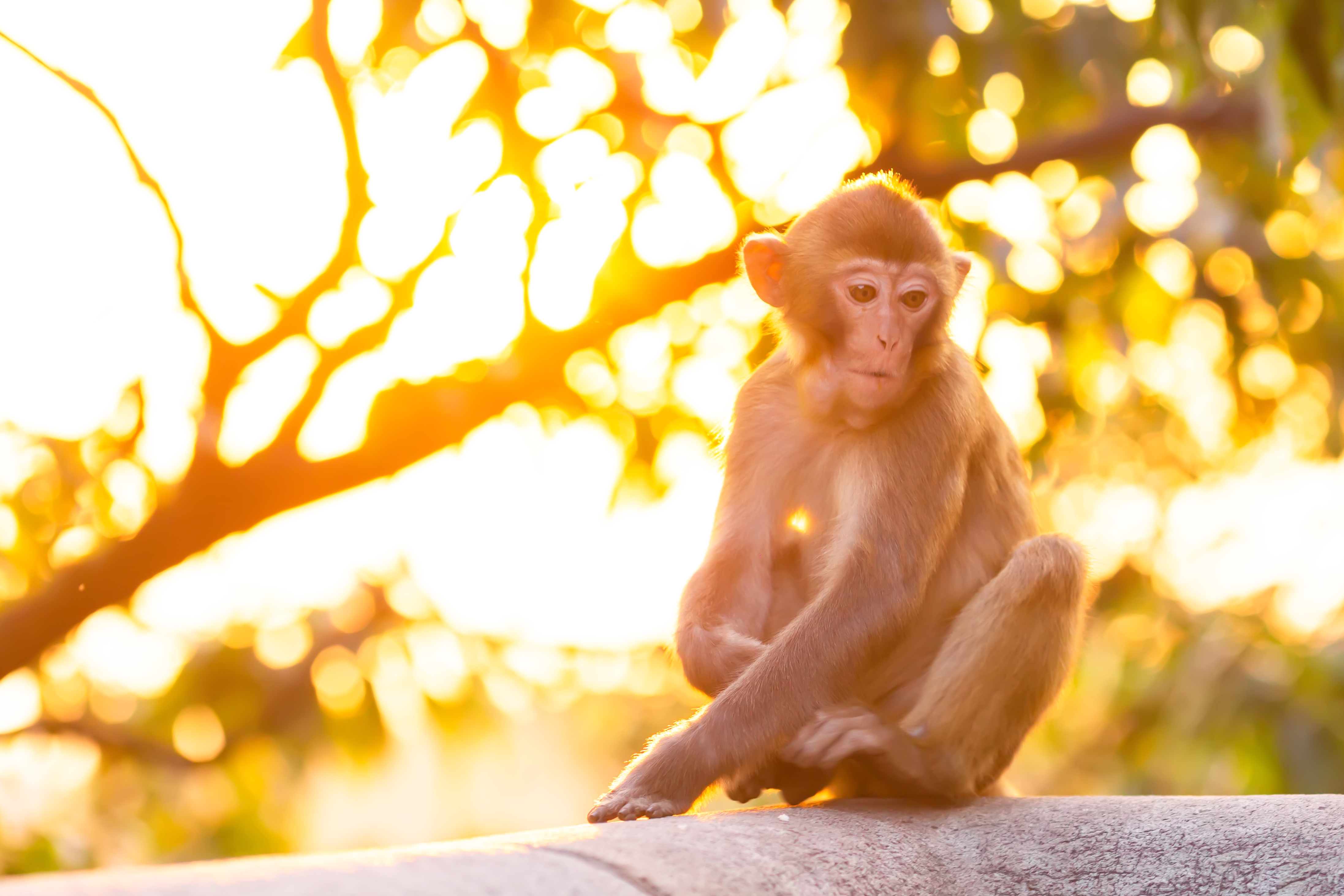 花果山景区的游玩攻略,情侣花果山旅游攻略