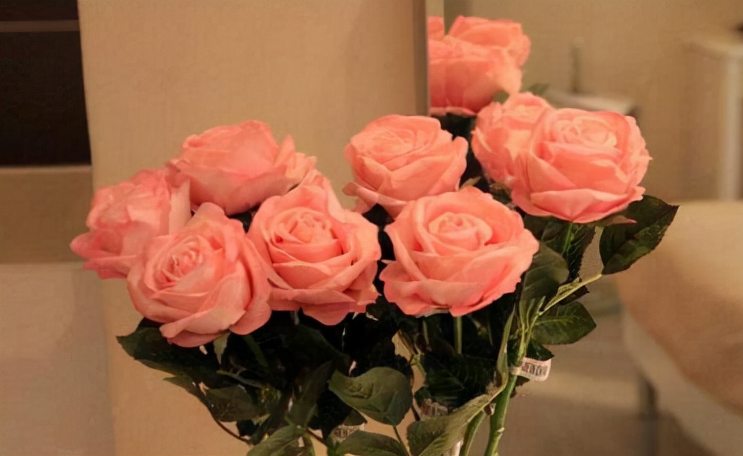 玫瑰花如何保存更久,如何延长玫瑰花保鲜期的方法