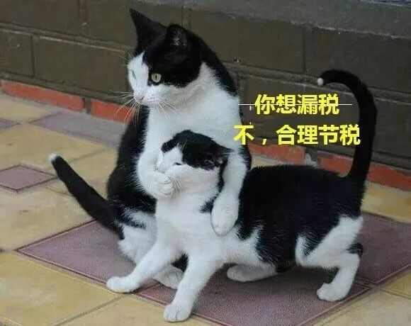 巧妙避税,关于避税的小窍门