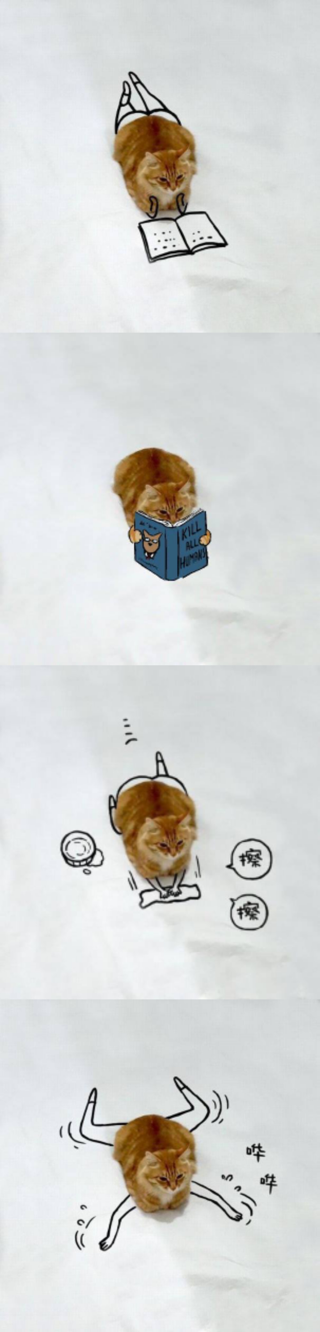 放下了七情六欲戴上金箍才能救你,带上金箍就不能有七情六欲了