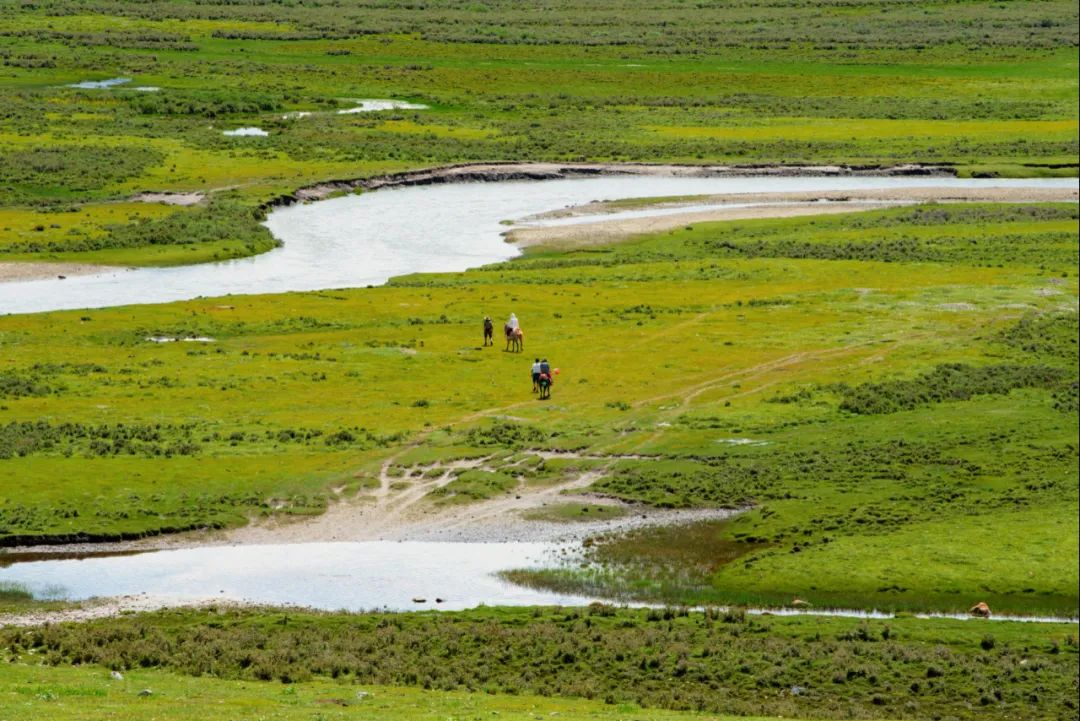 丁真和四川什么关系,丁真背后是谁
