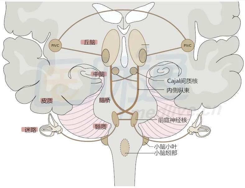 天旋地转眩晕呕吐恶心怎么治,天旋地转头晕恶心呕吐有濒死感