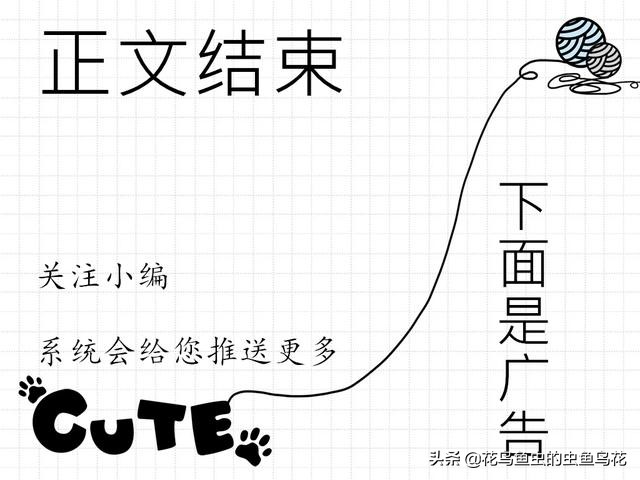 鱼缸中各种藻类,鱼缸中的各种藻类