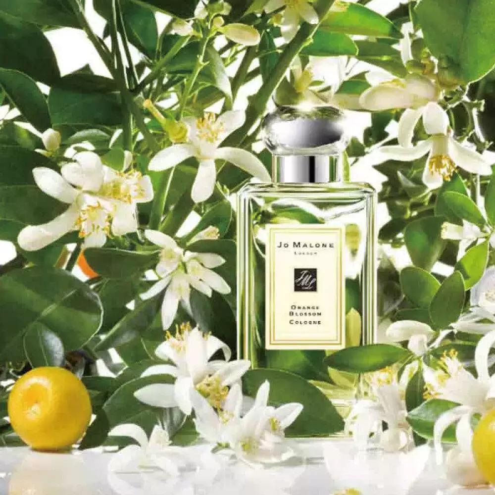 很多的沐浴露,哪些沐浴露和大牌香水一样