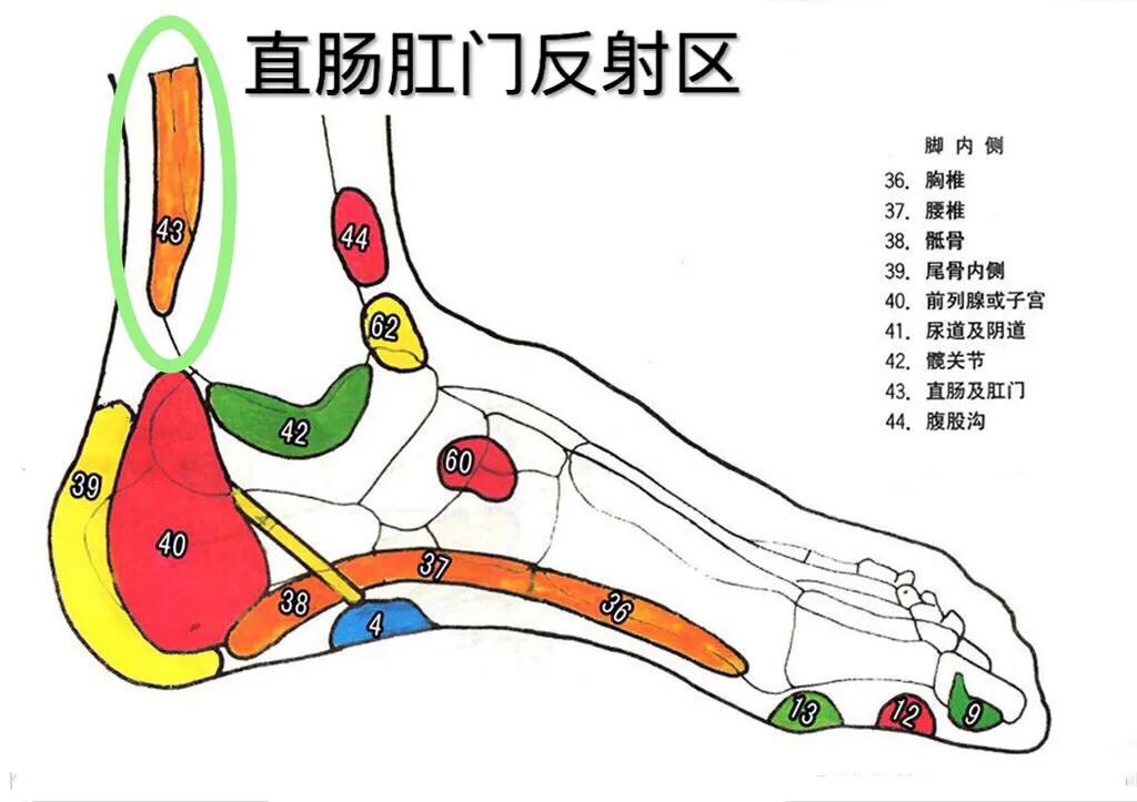 做足疗的正确方法,便秘足疗
