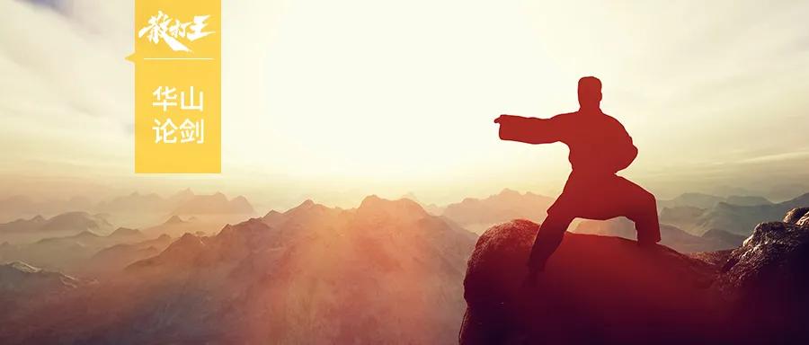 王友唐谈武术视频,王友唐评价武术