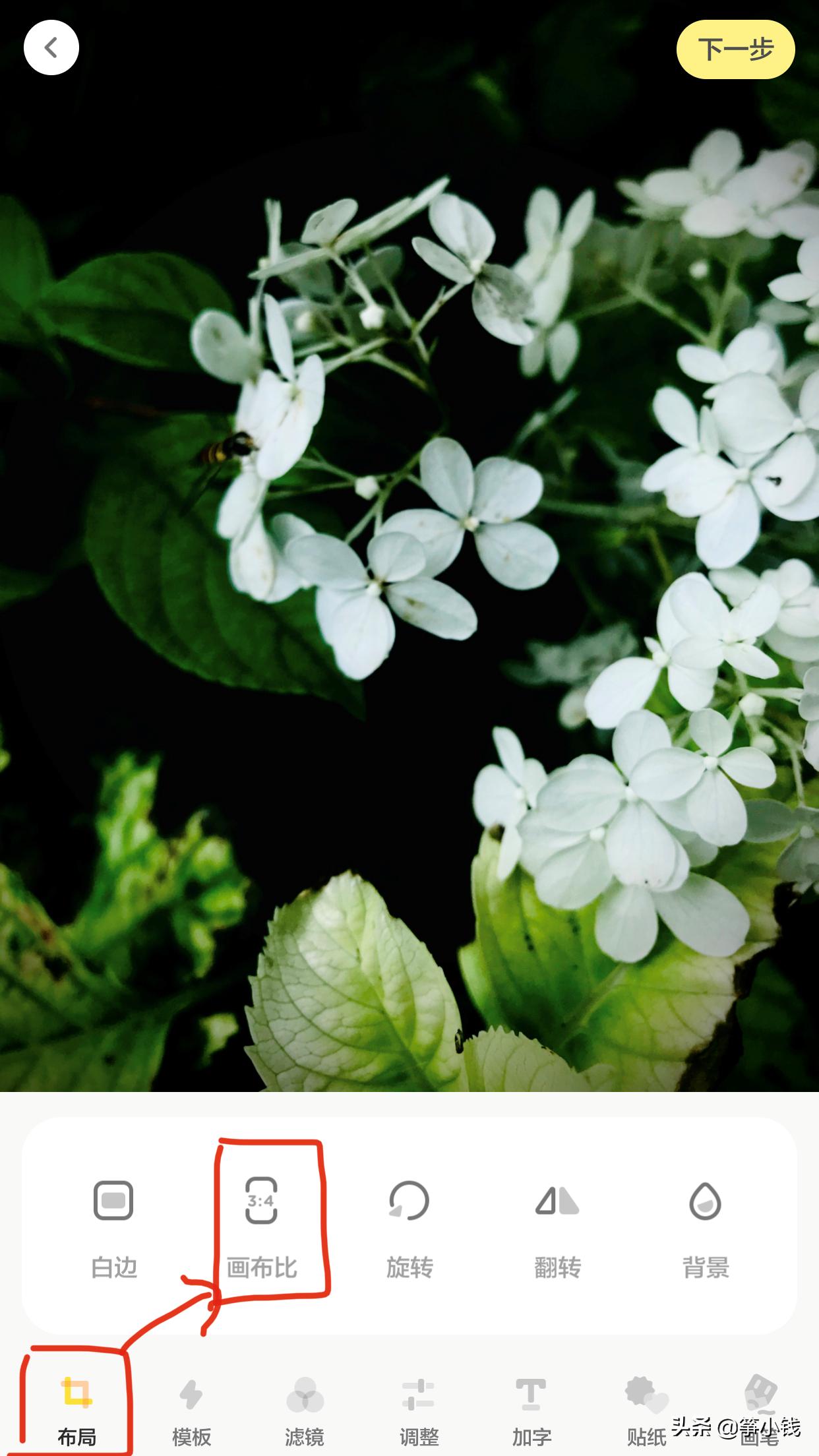 如何做一个能涨粉的读书博主,新手小白如何做读书博主