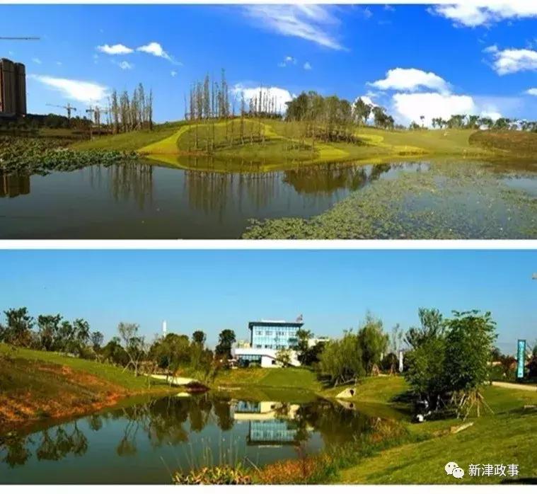 新津湿地公园最近美景,新津湿地公园景色