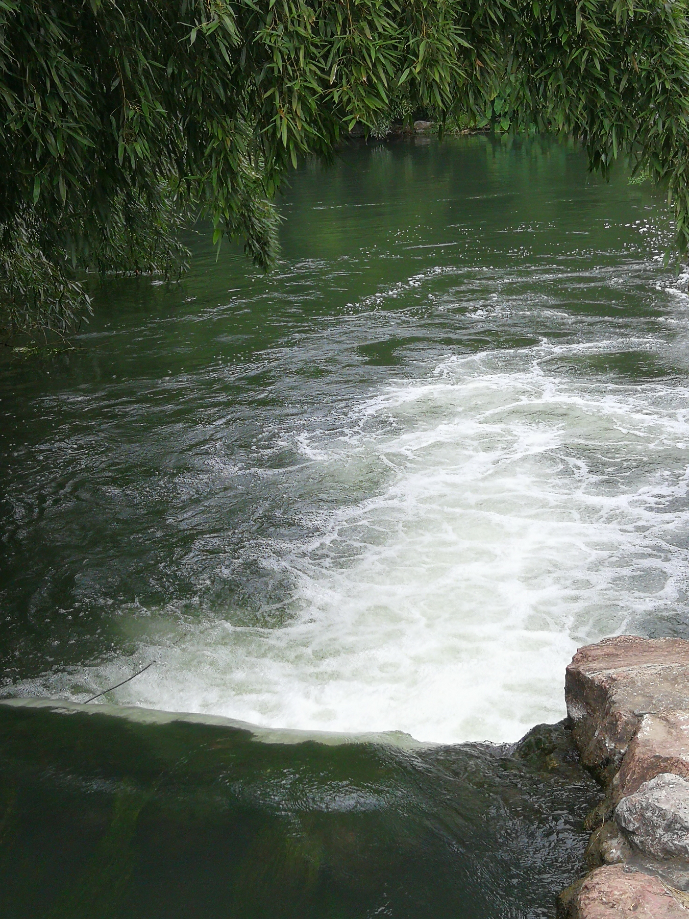 青芝坞民宿离西湖有多远,杭州青芝坞民宿排名榜