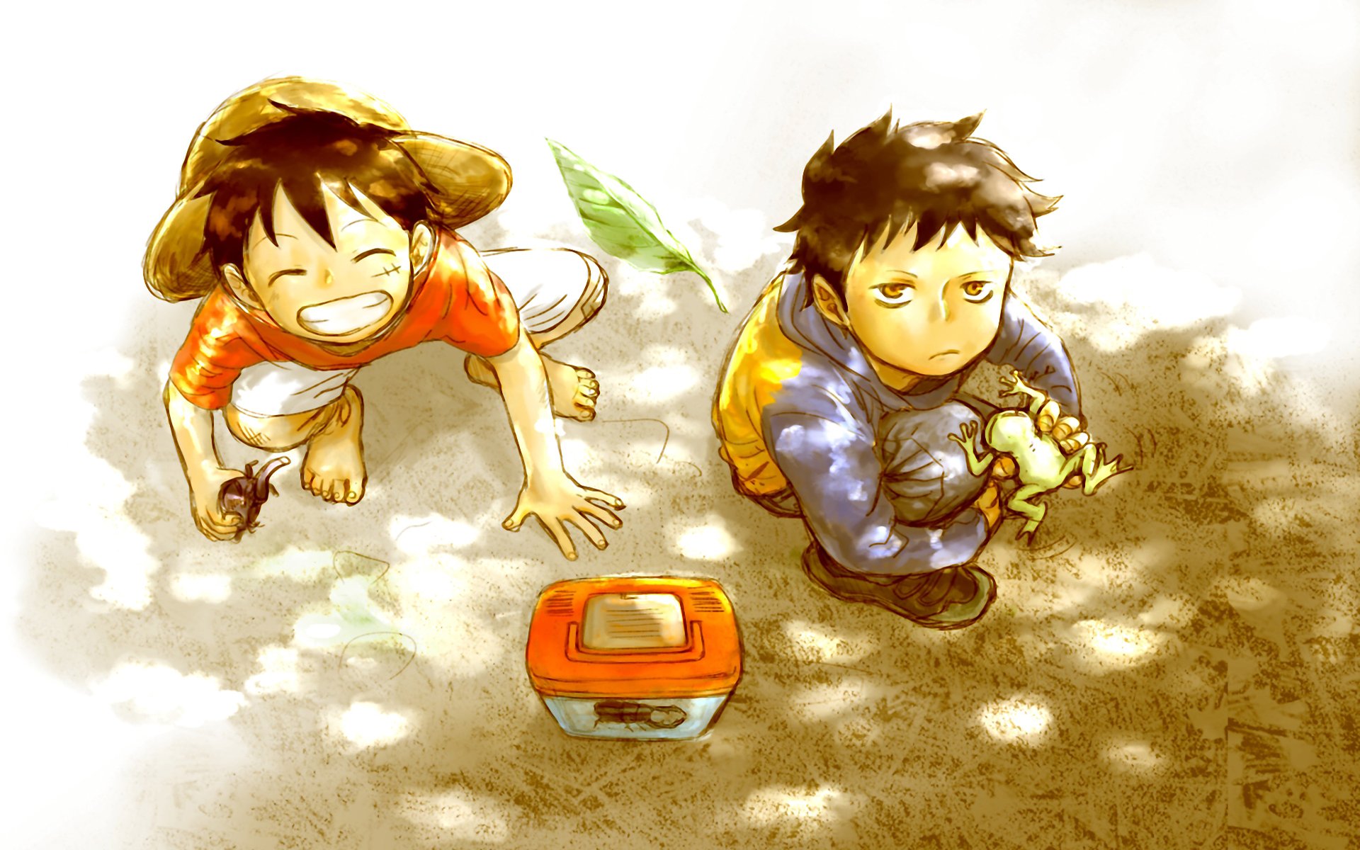 海贼王壁纸120帧高清4k,2020手机壁纸高清全面屏海贼王