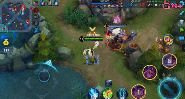 王者荣耀不适合新手的英雄,王者荣耀无脑又强势的英雄新赛季