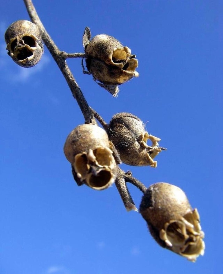 25张欺骗你眼睛的图片,100张欺骗眼睛的图片高清