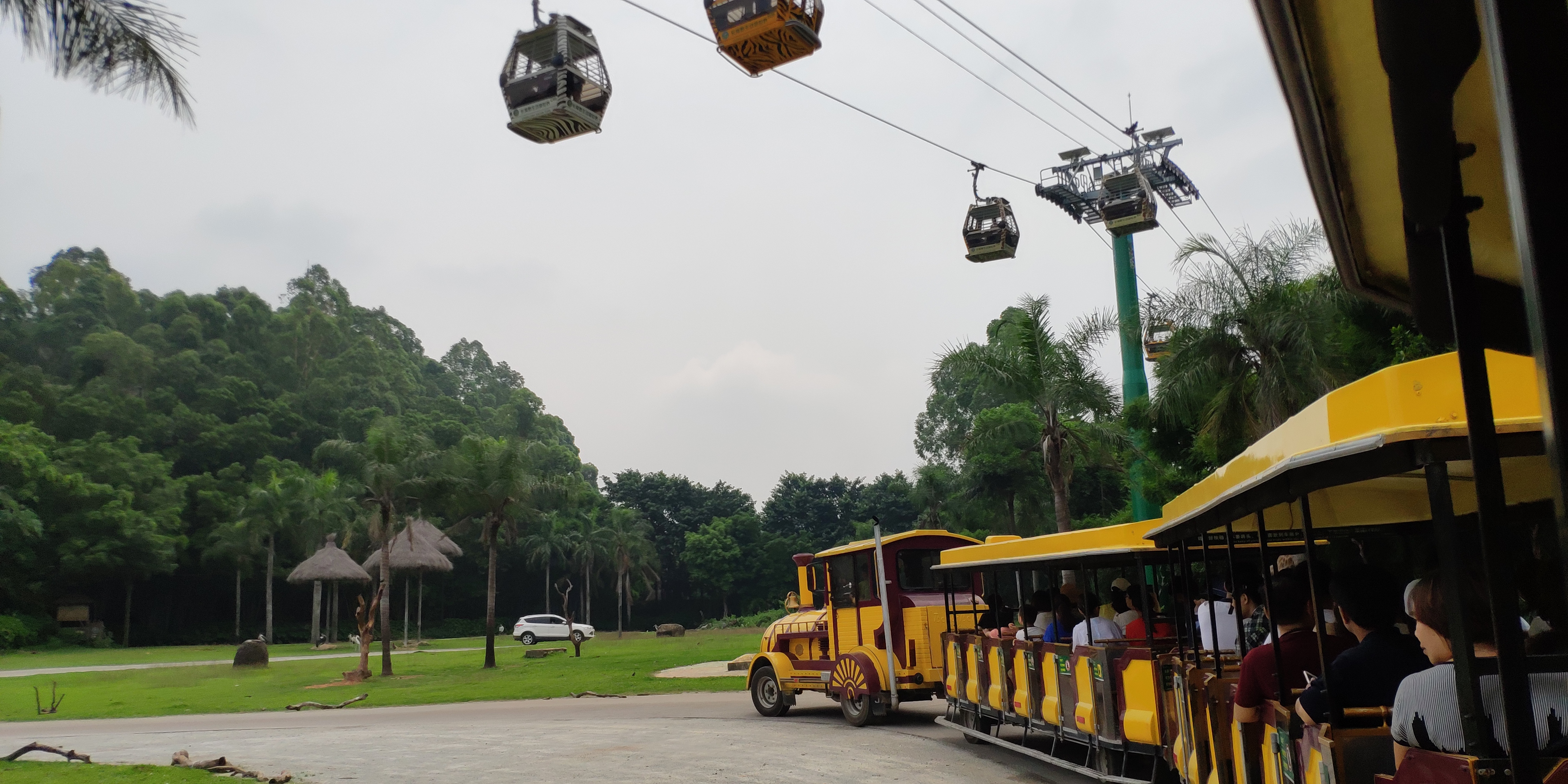 广州长隆四大园区游玩攻略,广州长隆两大两小最全游玩攻略