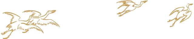 罗检秋老师：清代汉学家的学术精神片论