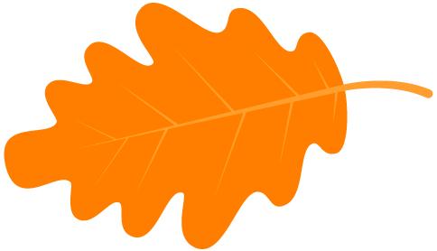 秋冬季，推荐几款养肺的食疗方！