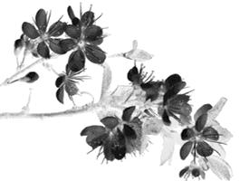 女人体内查出活虫只因一个菜,女子体内取出活虫只因爱吃