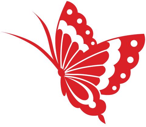 白银市共青团工作,金昌市共青团名单