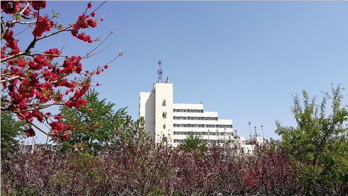 虚假期货骗局揭秘,最新虚拟期货骗局案例分析