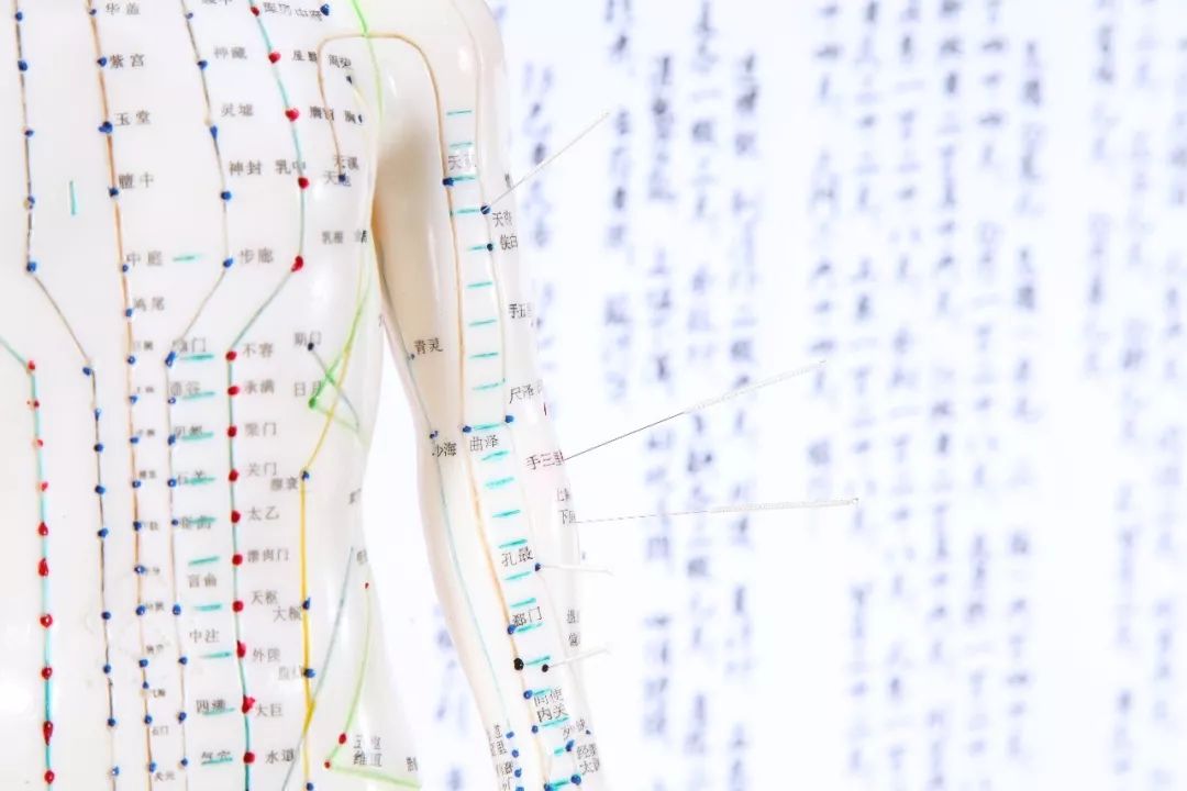 “人体排毒时刻表”疯传多年！真实情况却是……