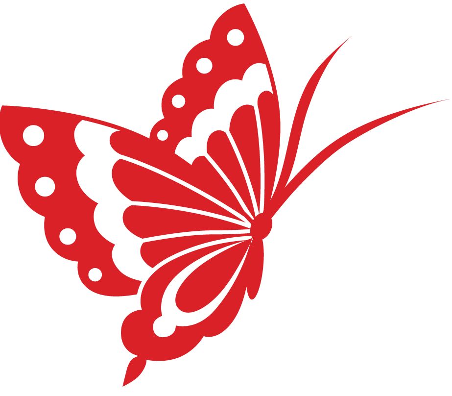 古生物最新发现,古生物化石信息