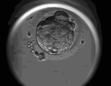 带你声临其境探索宇宙,带你探索维度空间