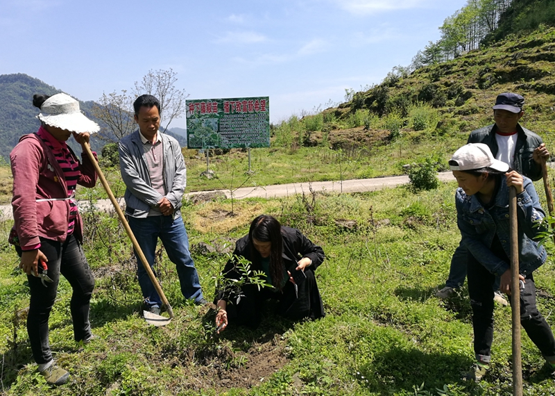 创新扶贫方式添活力,激发扶贫内生动力措施
