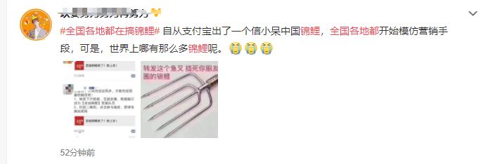 朋友圈锦鲤被曝光多人已上当,关于锦鲤的骗局有哪些