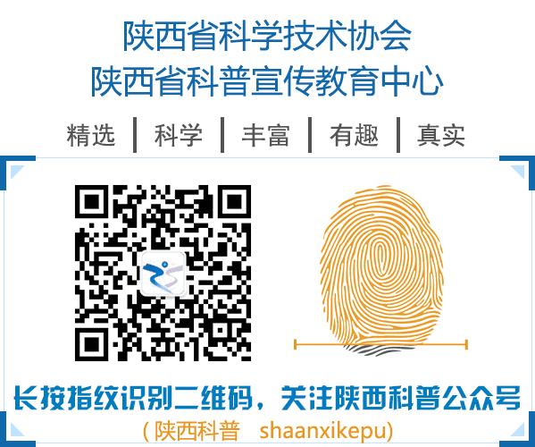 生病鸡杀了哪些部位不能吃,鸡哪些部位不能吃