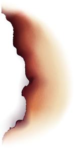 洗海澡野史（文末有干货）