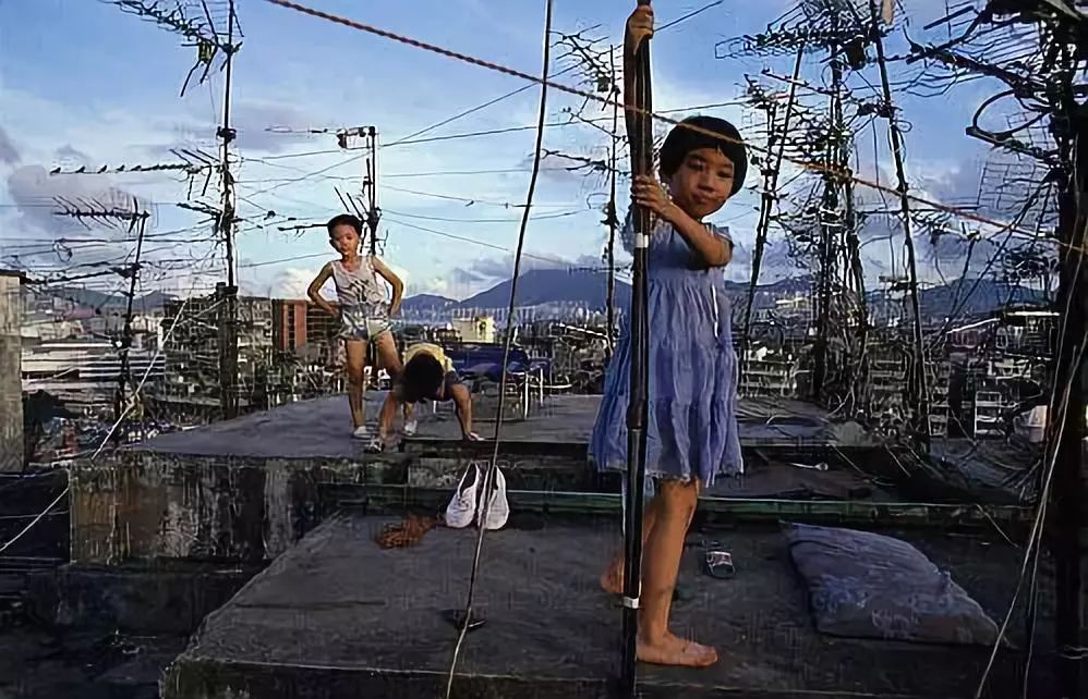 日照为0、楼间距为0，人口密度第一，这个占地70亩的项目强拆后被无数人怀念