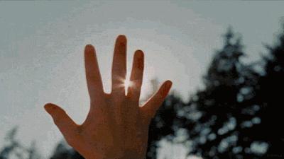 我和我的专业相爱相杀的每一天