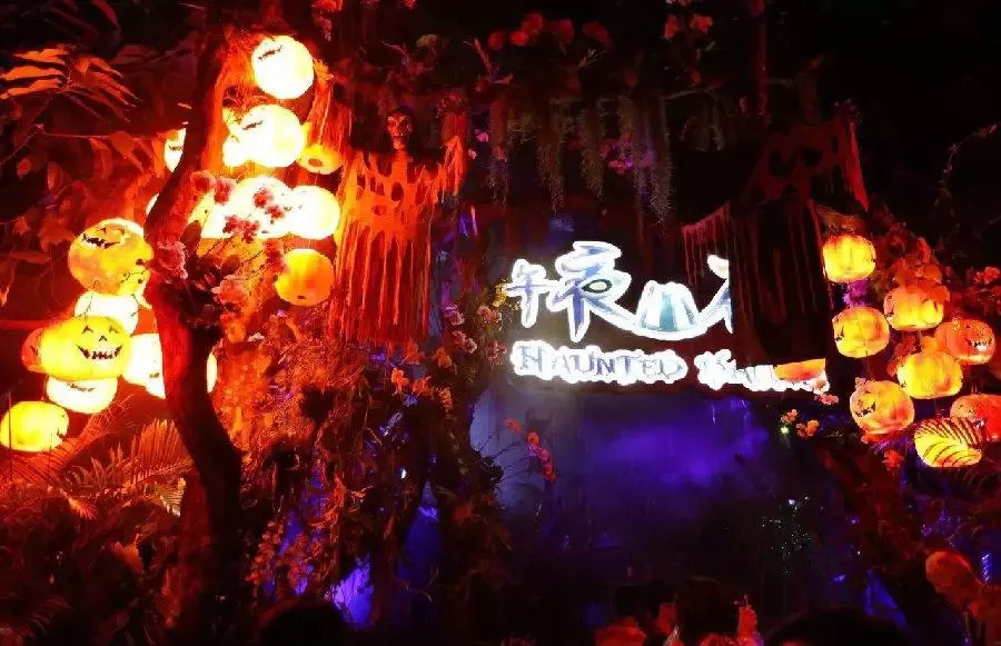 一天玩转长隆欢乐世界和动物园,长隆欢乐世界万圣节旅游攻略