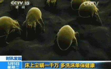 除螨杀菌喷雾好物推荐,家用除螨喷雾好物推荐