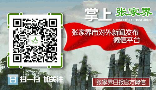 杭州茶博会莓茶是哪种,茶博会莓茶