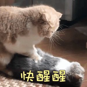 打美容针被抓到是什么罪行,重罚10万南昌多家美容机构被查处