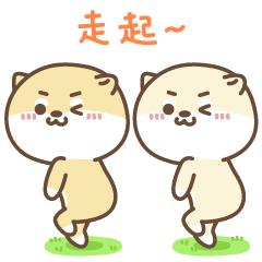 龙岗招聘靠谱吗,龙岗最新招聘启事