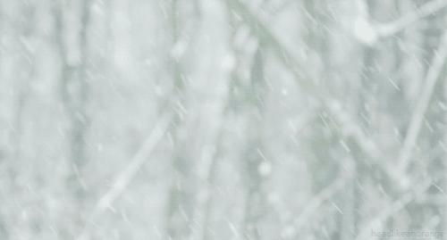 冻哭！雨夹雪+雨+降12℃!男子辱骂交警被拘！两车相撞司机被困！17岁少女陷入传销