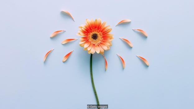 避孕药对女人来说是常识,避孕药奇怪真相