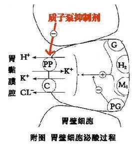 片仔癀与云南白药市值,云南白药与片仔癀市场占有率