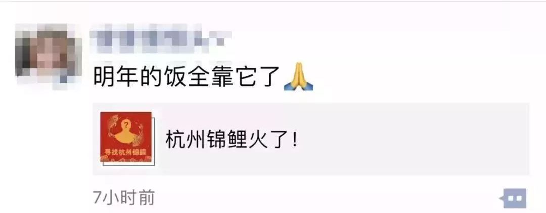 最近锦鲤为什么火了,锦鲤是如何火起来的