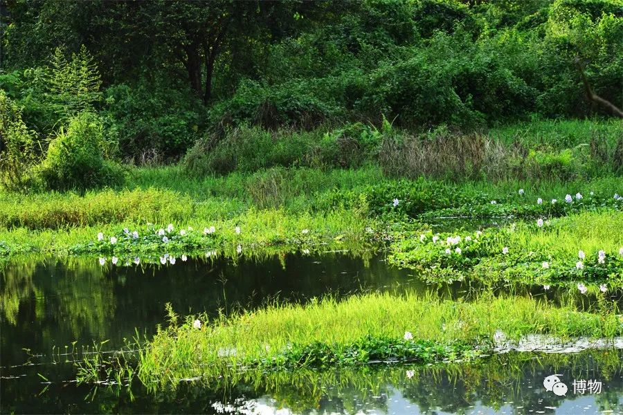 想跟博物一起外出采风？春节我们滇西见